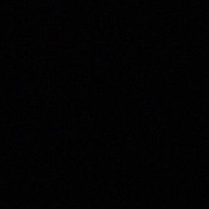 Meet your Posher, Timothy